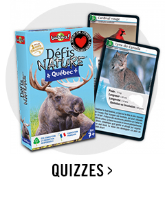 Quizzes