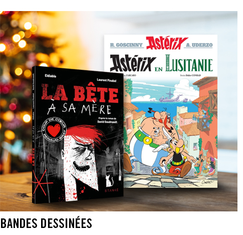 BANDES DESSINÉES25