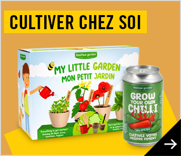 Pâques 2026 - Vases et plantes